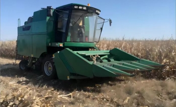 The development of grain harvest has entered a new stage