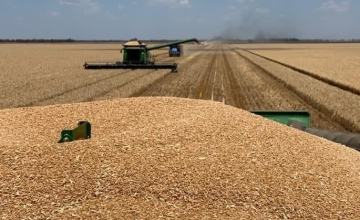 Australia's agricultural productivity has grown slowly since